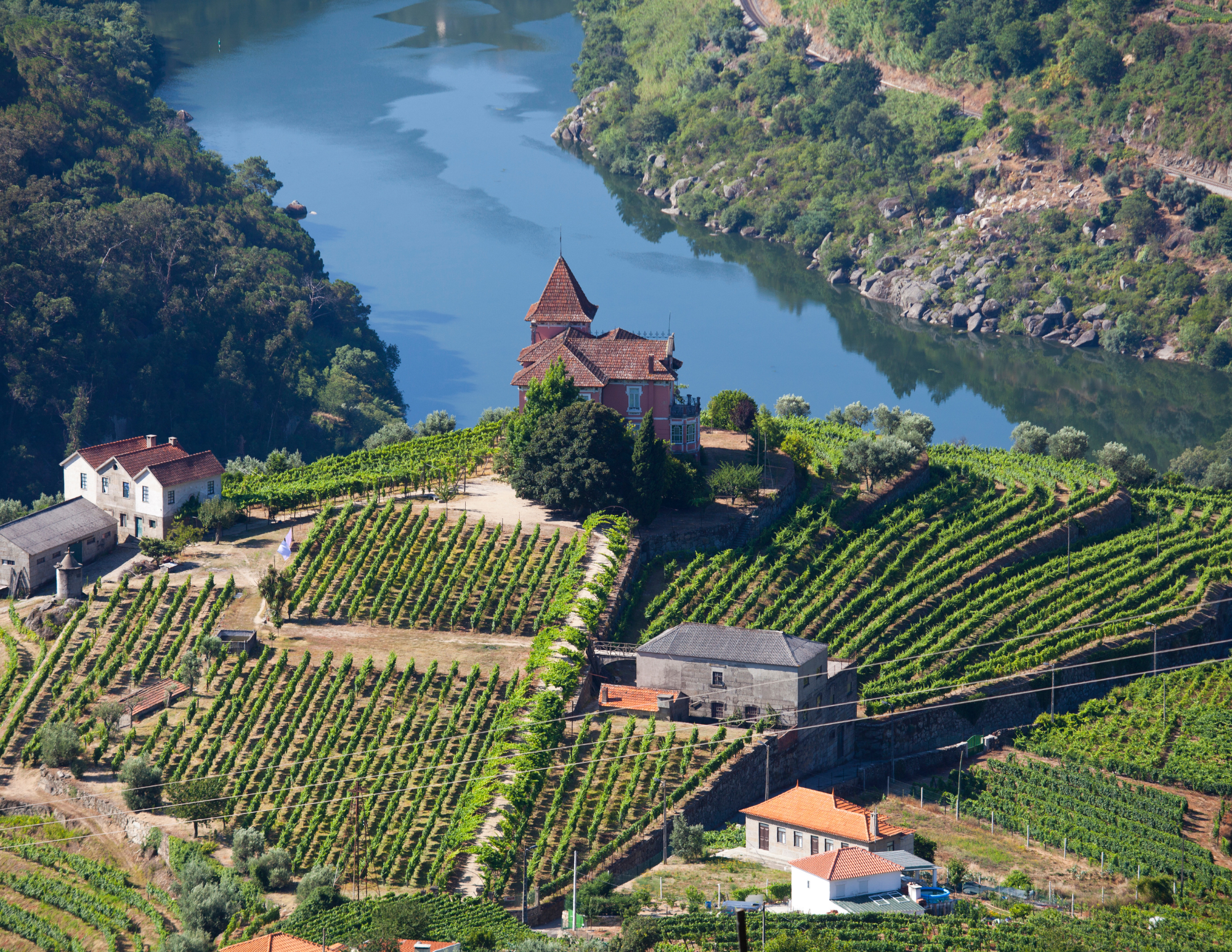 Douro Valley.png